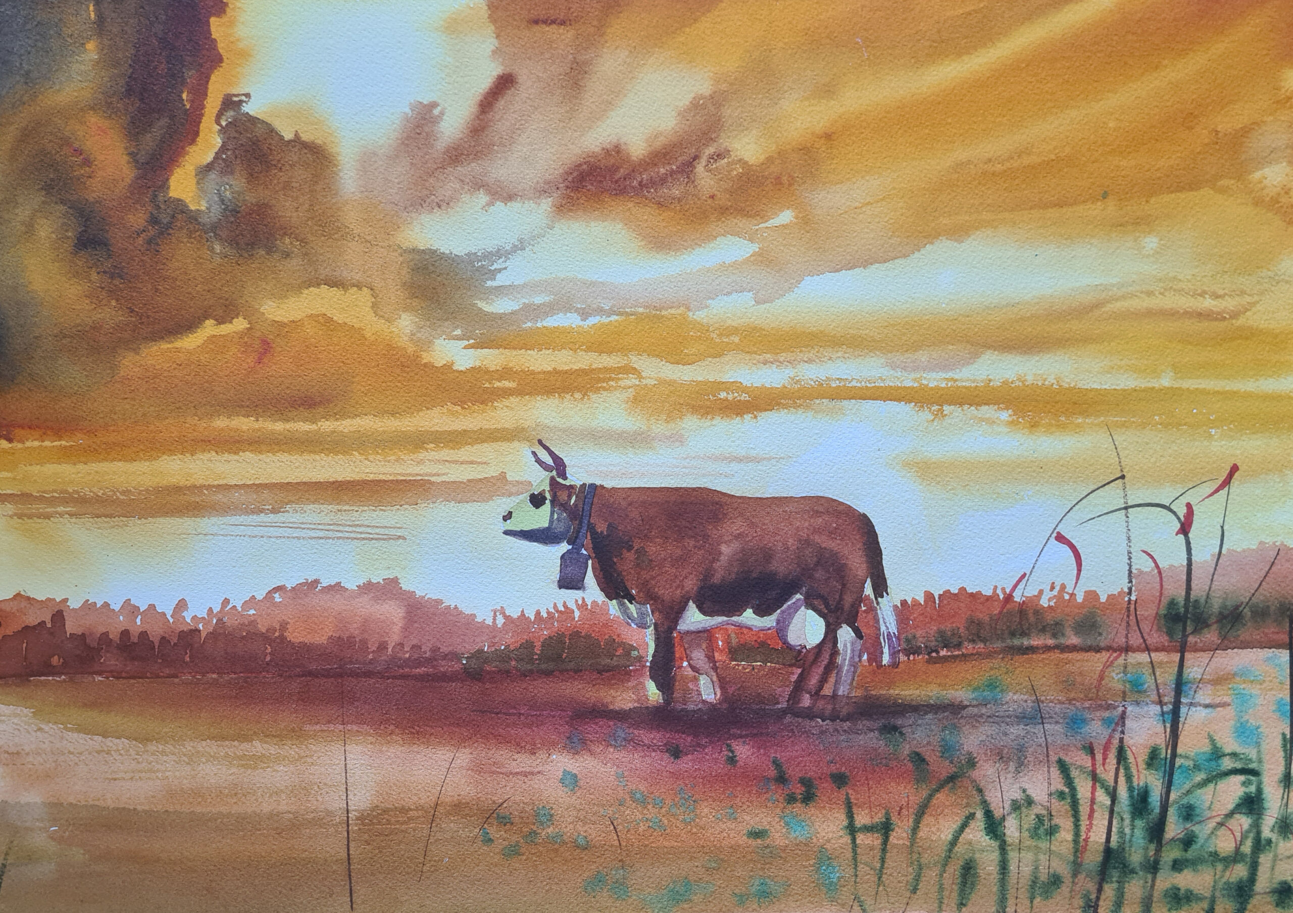 Krowa o zachodzie słońca Mikaran_art